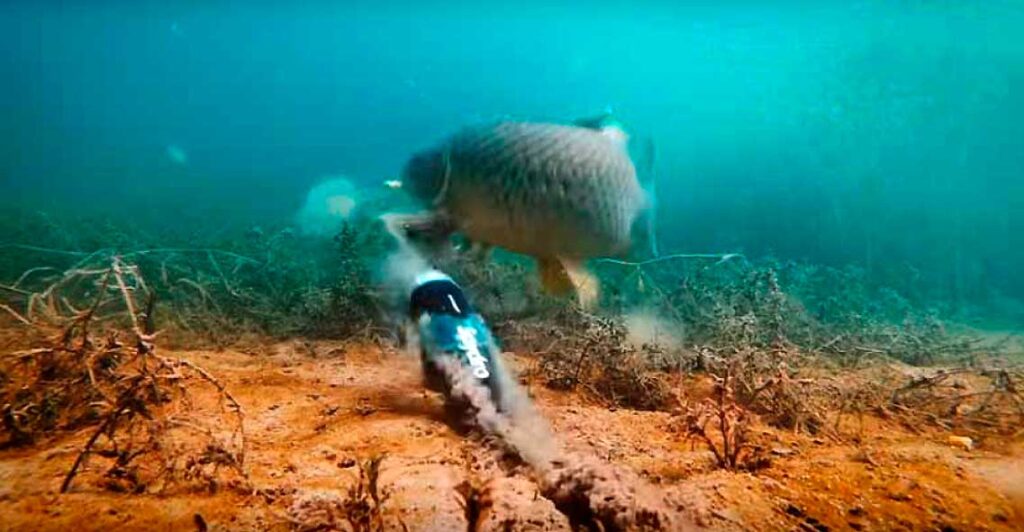 Camara-Spydro-para-capturas4